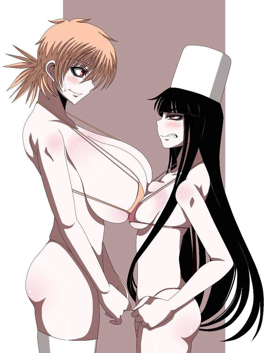 [HELLSING] erotic image of Hellsing 19