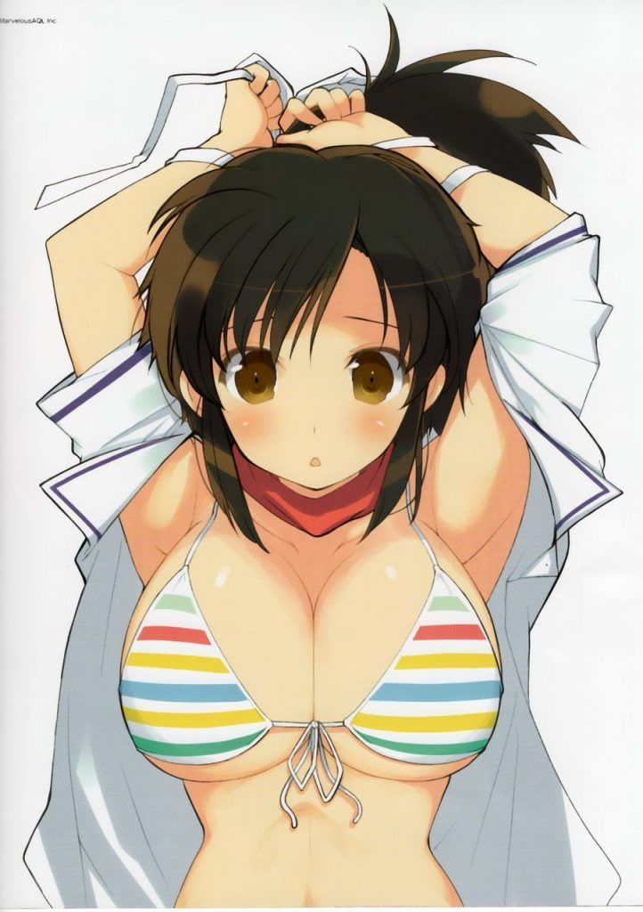 Erotic images that can reaffirm the goodness of the senran kagura 14