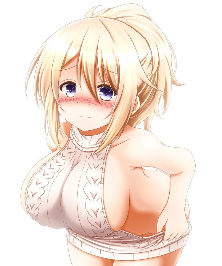 Virgin Killer Sweater Collection 439