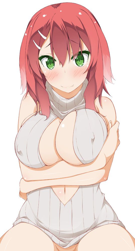 Virgin Killer Sweater Collection 774