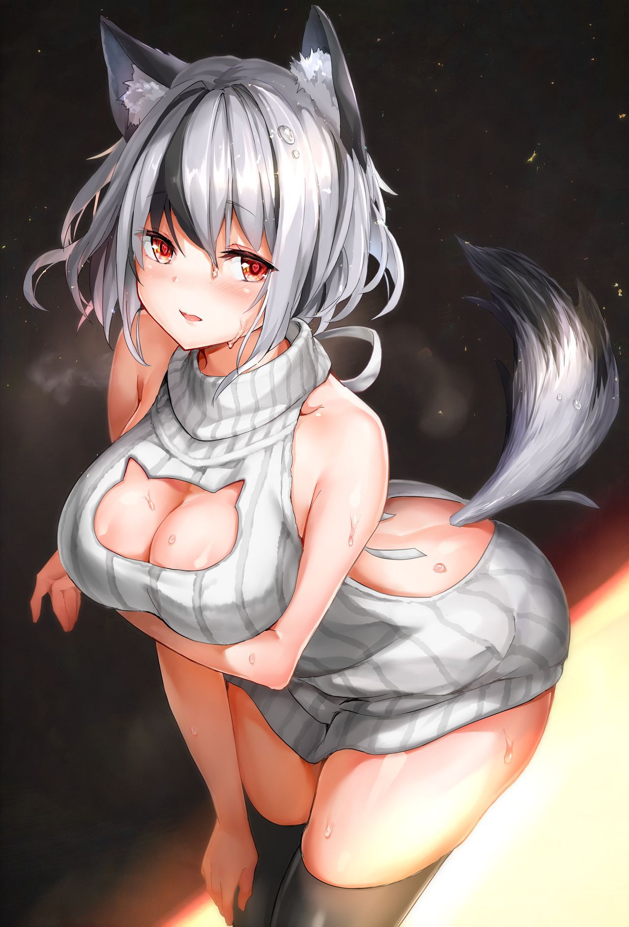 Virgin Killer Sweater Collection 849