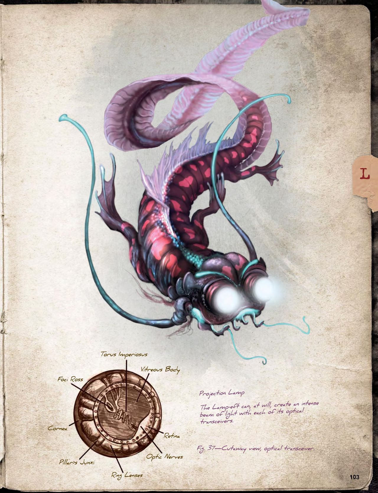 Cthulhu Mythos Artbook：Field Guide to Lovecraftian Horrors/克苏鲁神话艺术设定集：洛夫克拉夫特式恐怖图鉴 104
