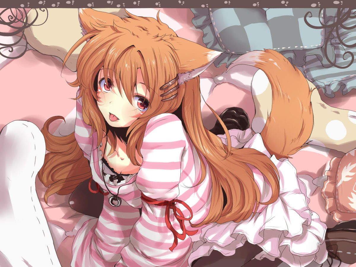 2D Fox Ear Daughter Erotic Image 48 photos that can crush the cat ear kitchen and dog ear kitchen 3