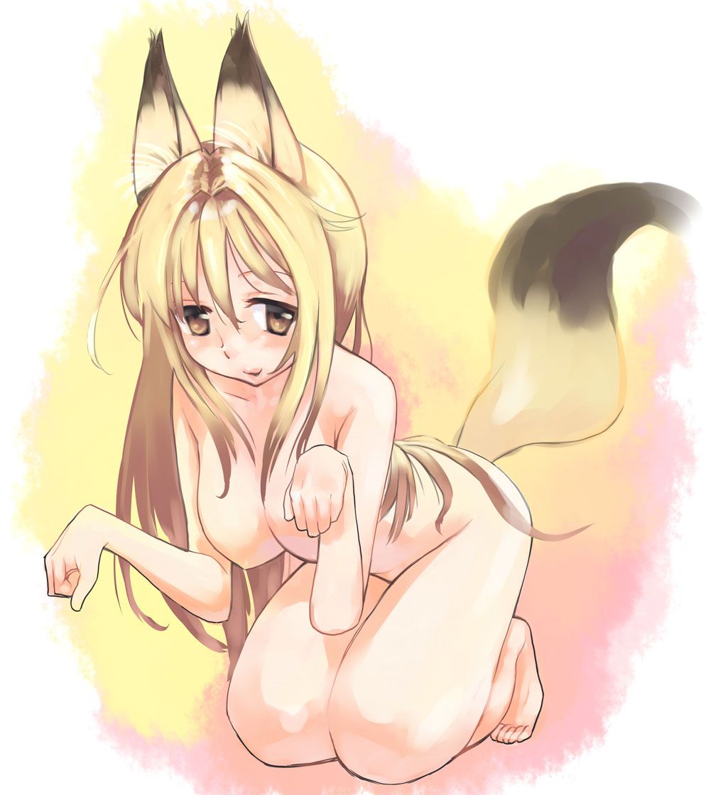 2D Fox Ear Daughter Erotic Image 48 photos that can crush the cat ear kitchen and dog ear kitchen 48