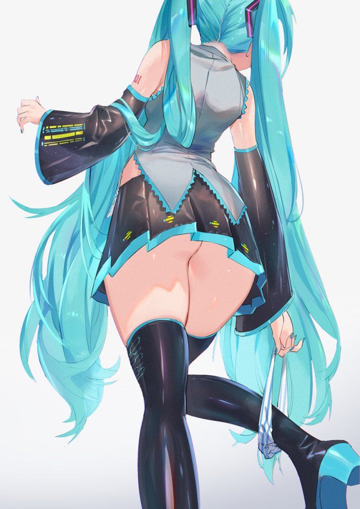 【Secondary】Hatsune Miku Image 【Elo】 Part 2 34