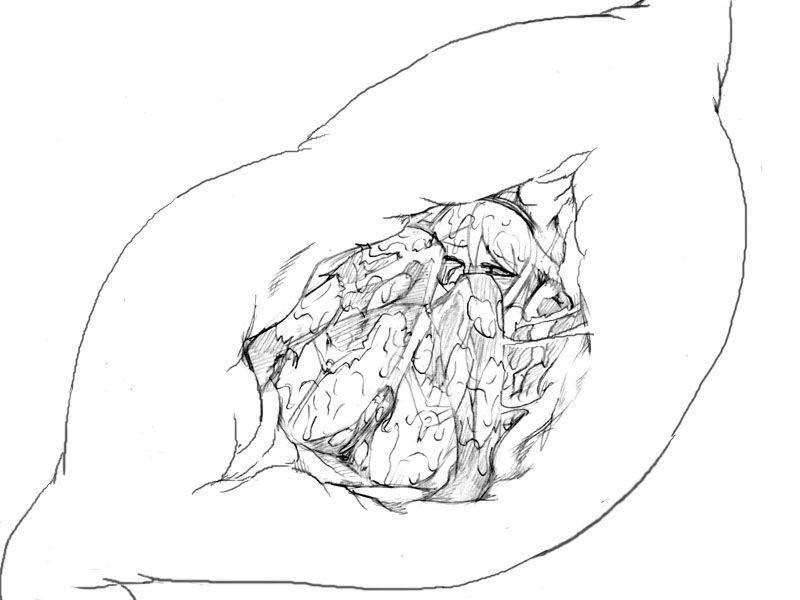 Camel [D-Gate] - Blog Sketch Archive 1901-2300 54