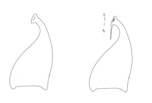 Camel [D-Gate] - Blog Sketch Archive 3401-3800 1342