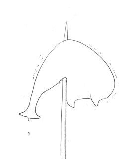 Camel [D-Gate] - Blog Sketch Archive 4201-4600 1467
