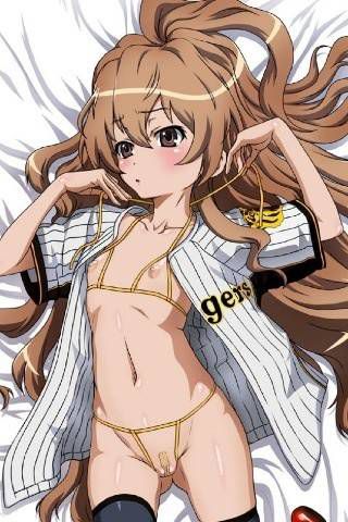 Anime: "Tora Dora" "Aisaka Taiga's Erotic Image Summary" Secondary 25