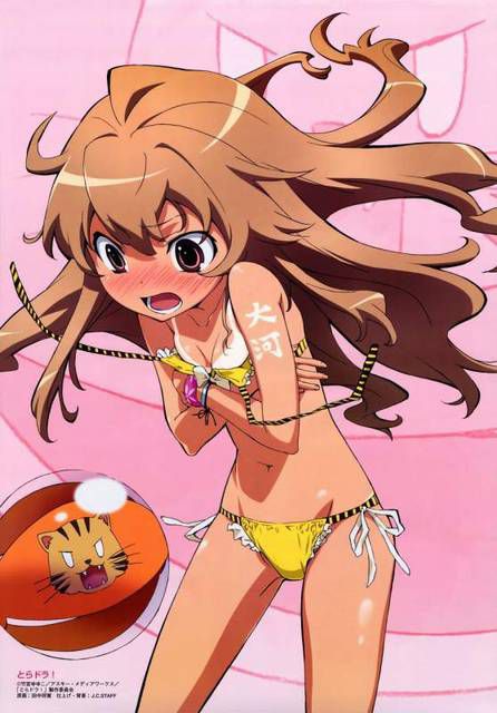 Anime: "Tora Dora" "Aisaka Taiga's Erotic Image Summary" Secondary 45