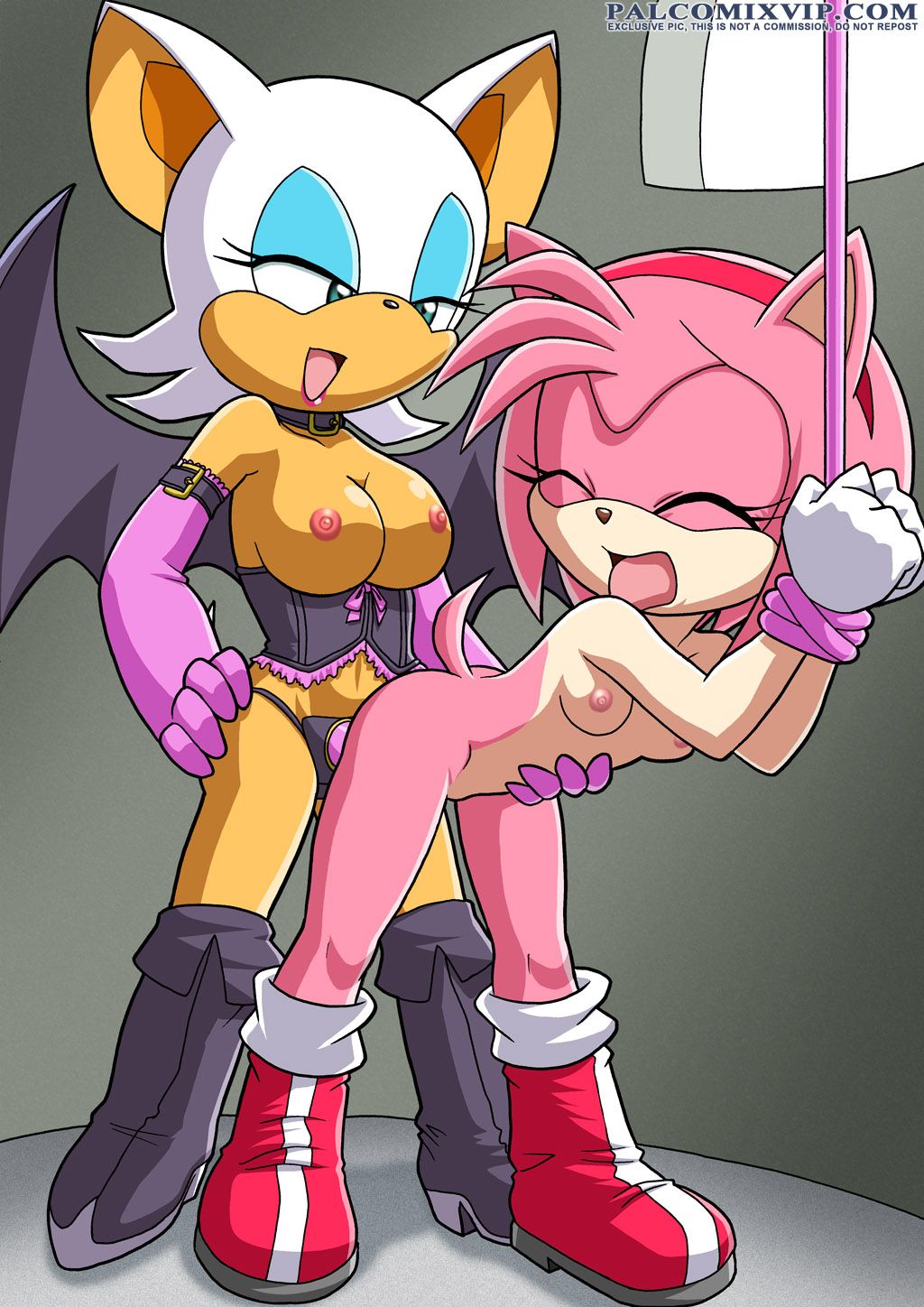 Mobius Unleashed: Rouge the Bat 4