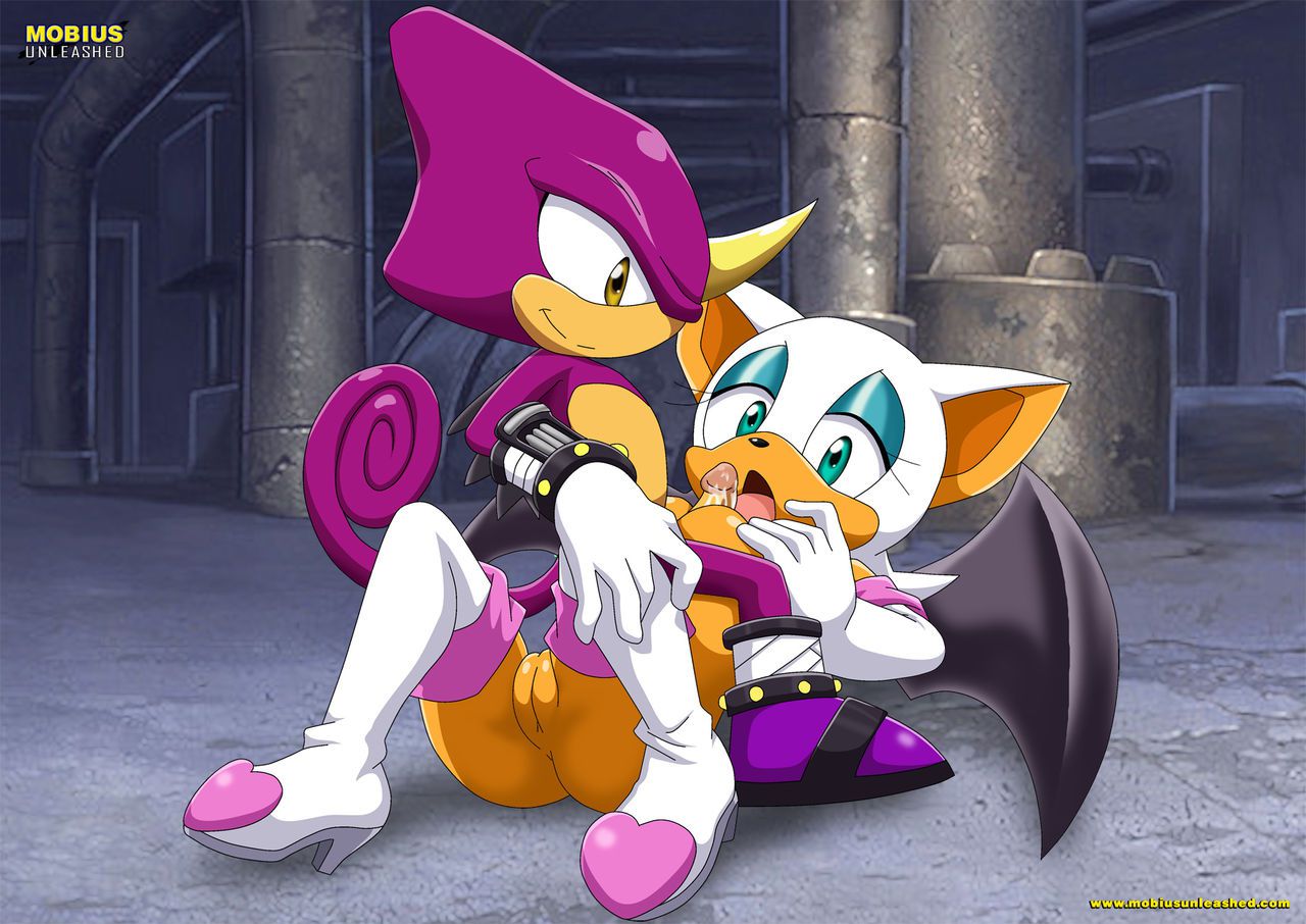 Mobius Unleashed: Rouge the Bat 46