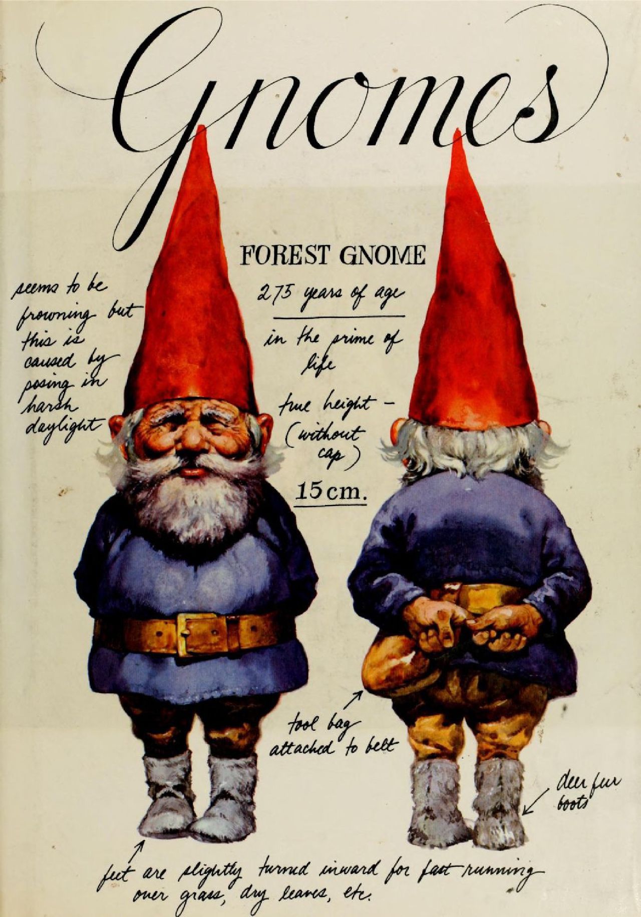 Gnomes by Wil Huygen, Rien Poortvliet 1