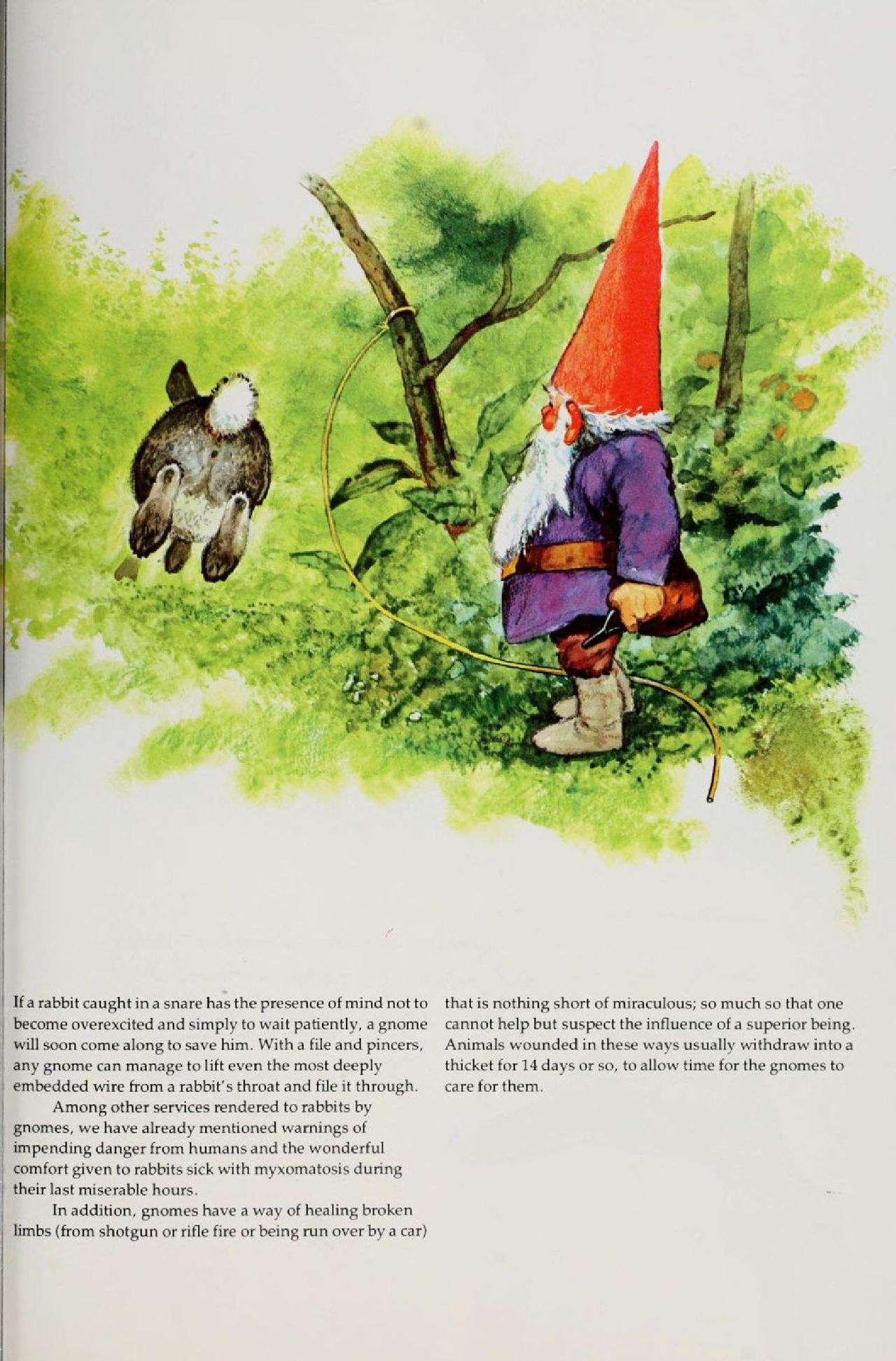 Gnomes by Wil Huygen, Rien Poortvliet 117