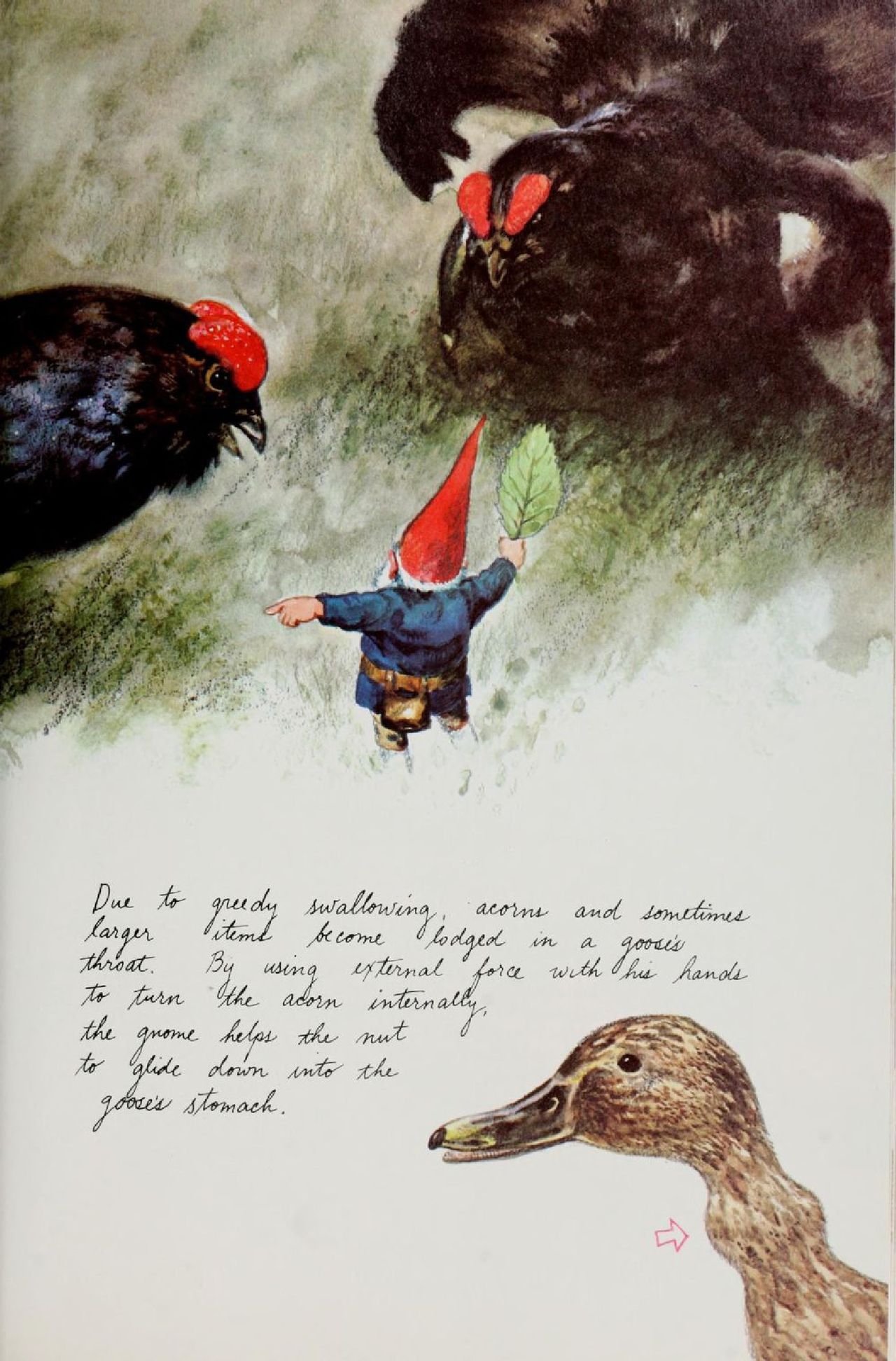 Gnomes by Wil Huygen, Rien Poortvliet 119