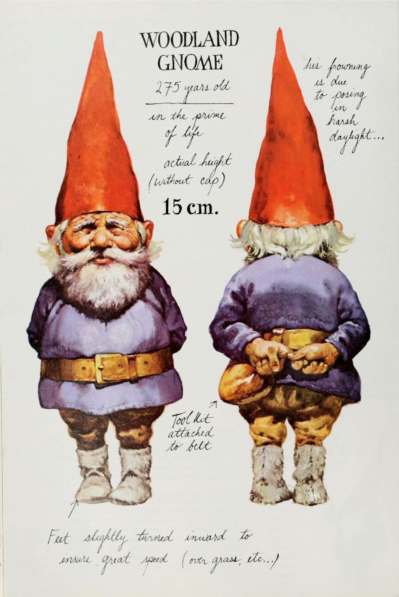 Gnomes by Wil Huygen, Rien Poortvliet 16