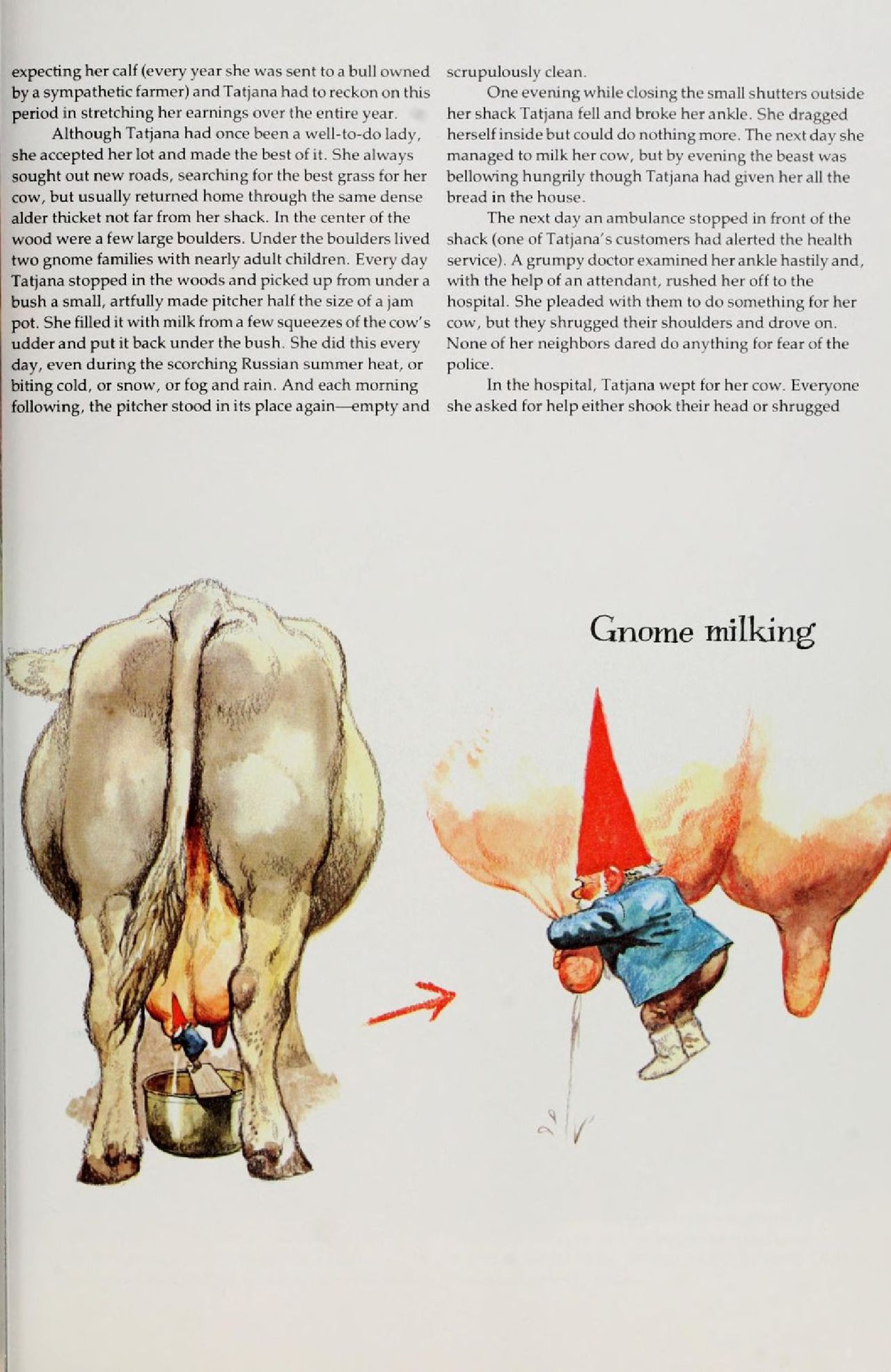 Gnomes by Wil Huygen, Rien Poortvliet 169