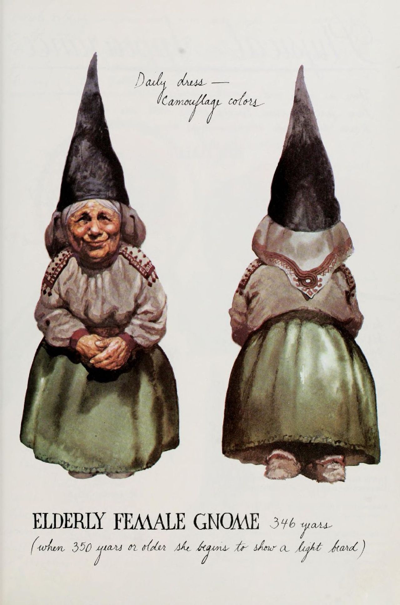Gnomes by Wil Huygen, Rien Poortvliet 17