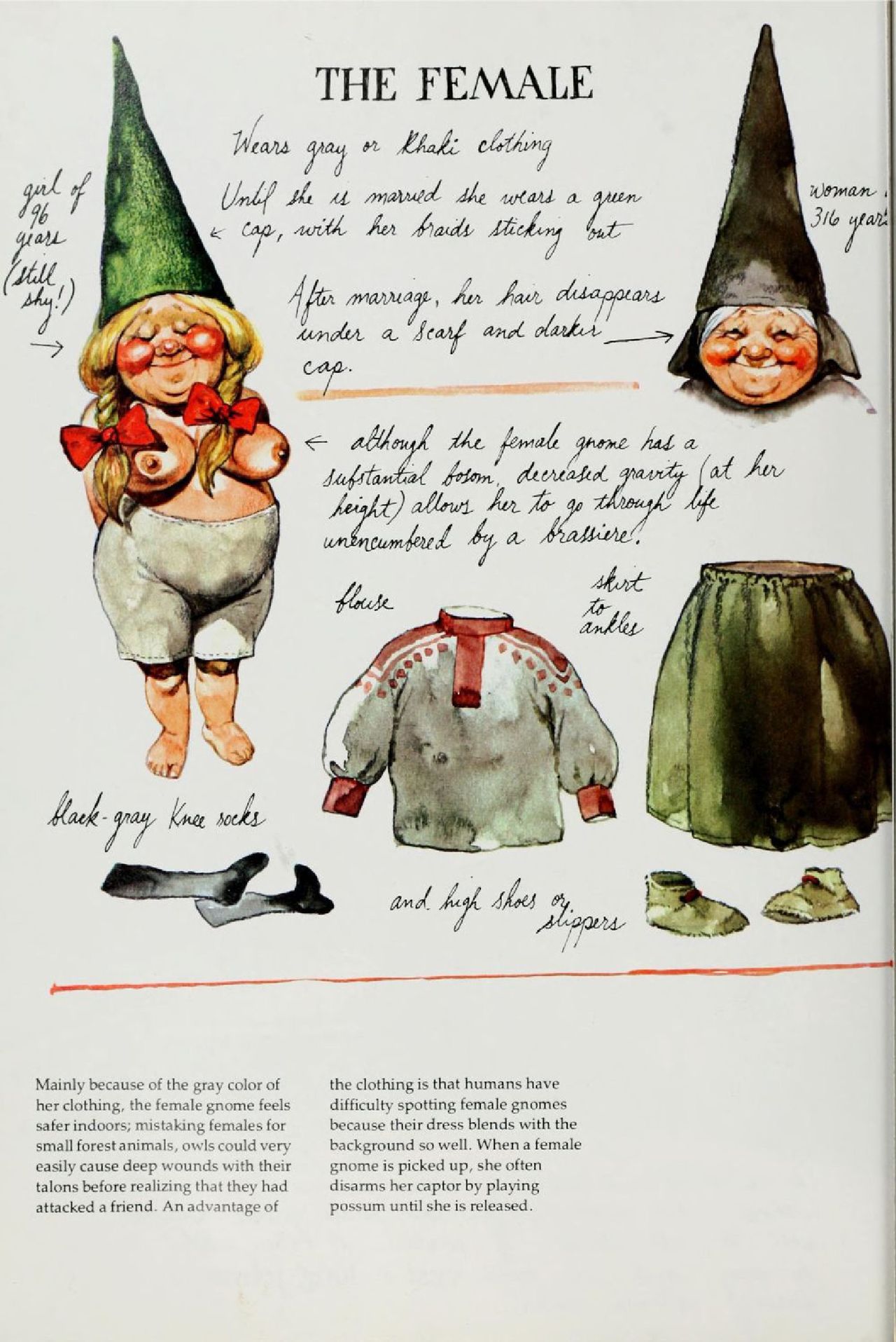 Gnomes by Wil Huygen, Rien Poortvliet 24