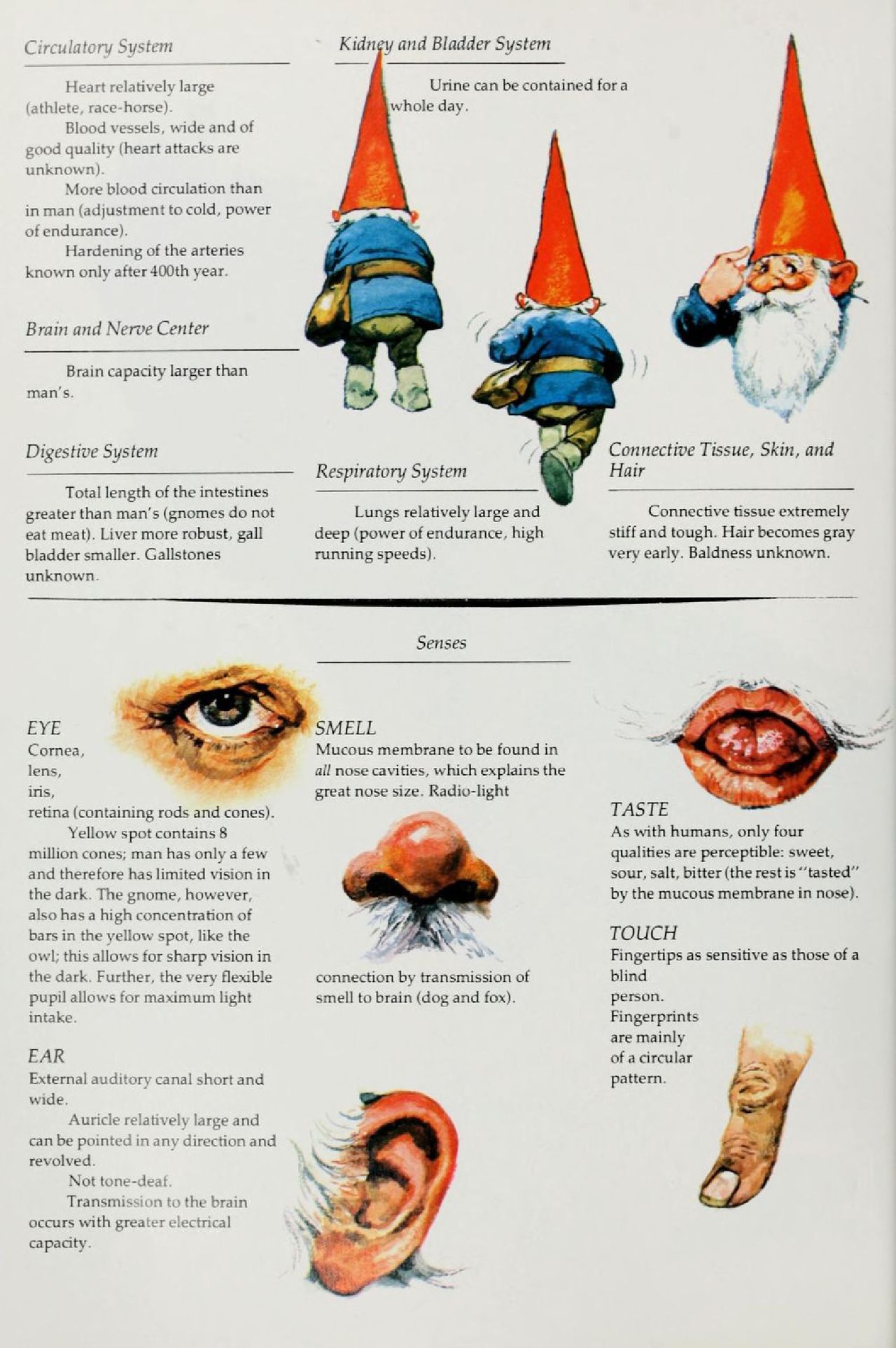 Gnomes by Wil Huygen, Rien Poortvliet 30