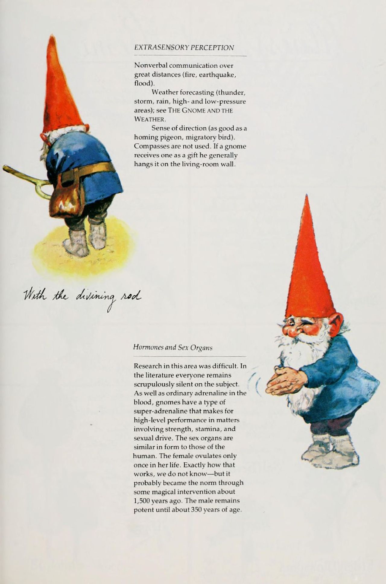 Gnomes by Wil Huygen, Rien Poortvliet 35