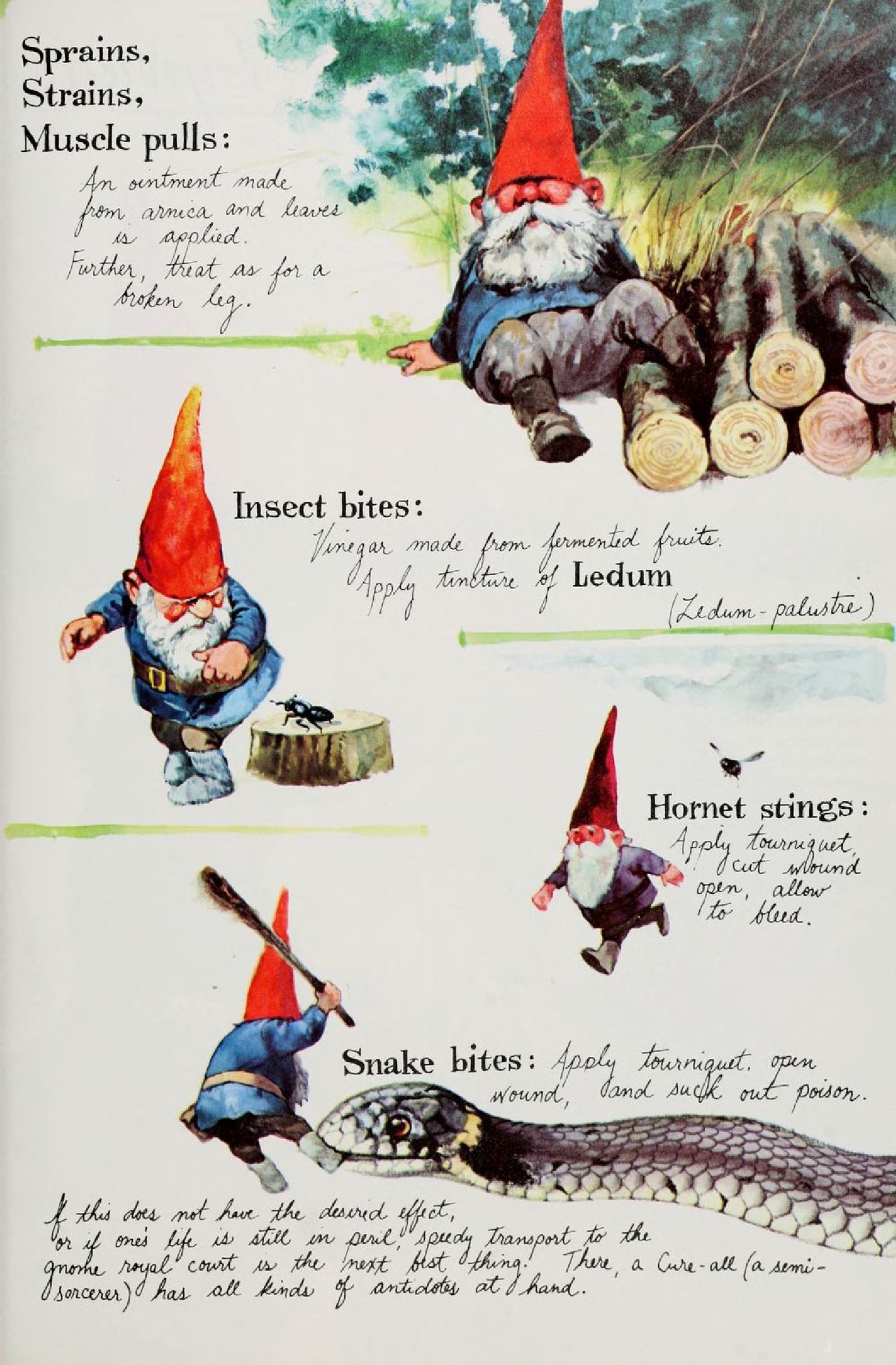 Gnomes by Wil Huygen, Rien Poortvliet 39