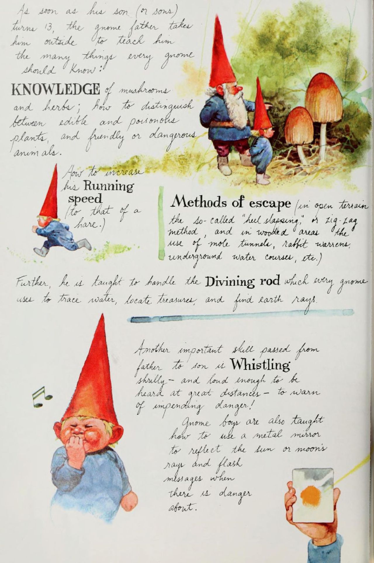 Gnomes by Wil Huygen, Rien Poortvliet 56