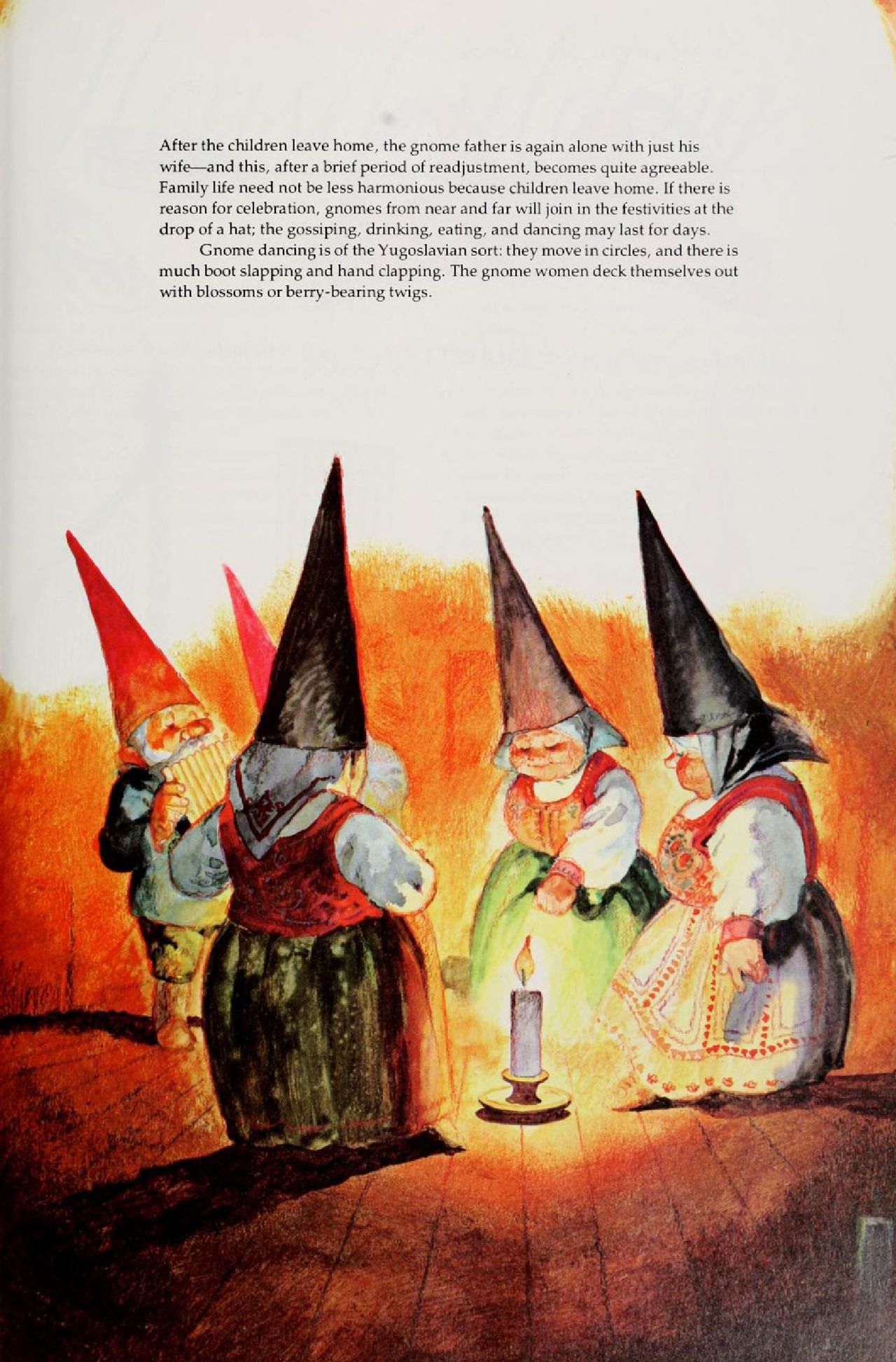 Gnomes by Wil Huygen, Rien Poortvliet 59