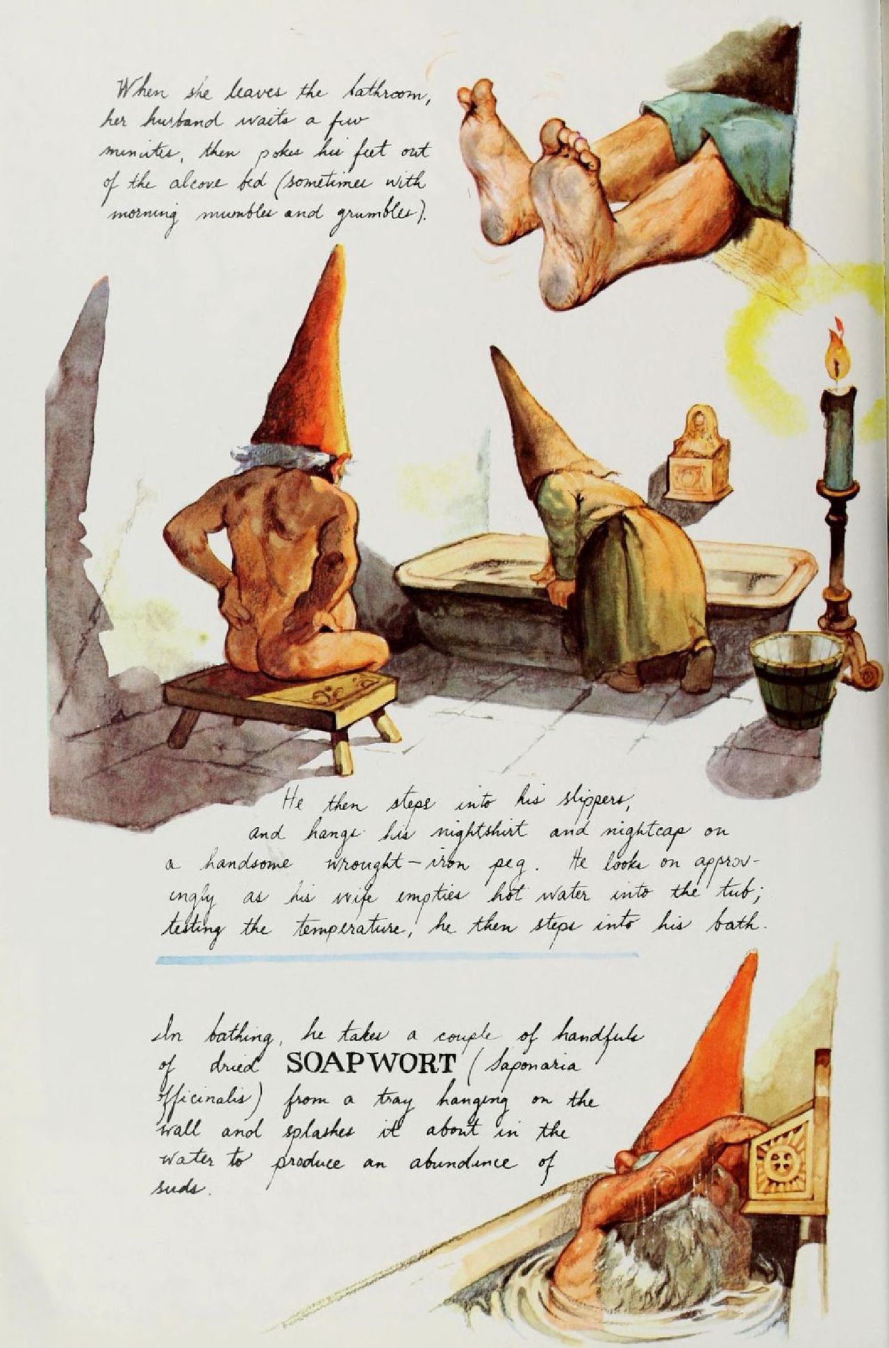 Gnomes by Wil Huygen, Rien Poortvliet 82