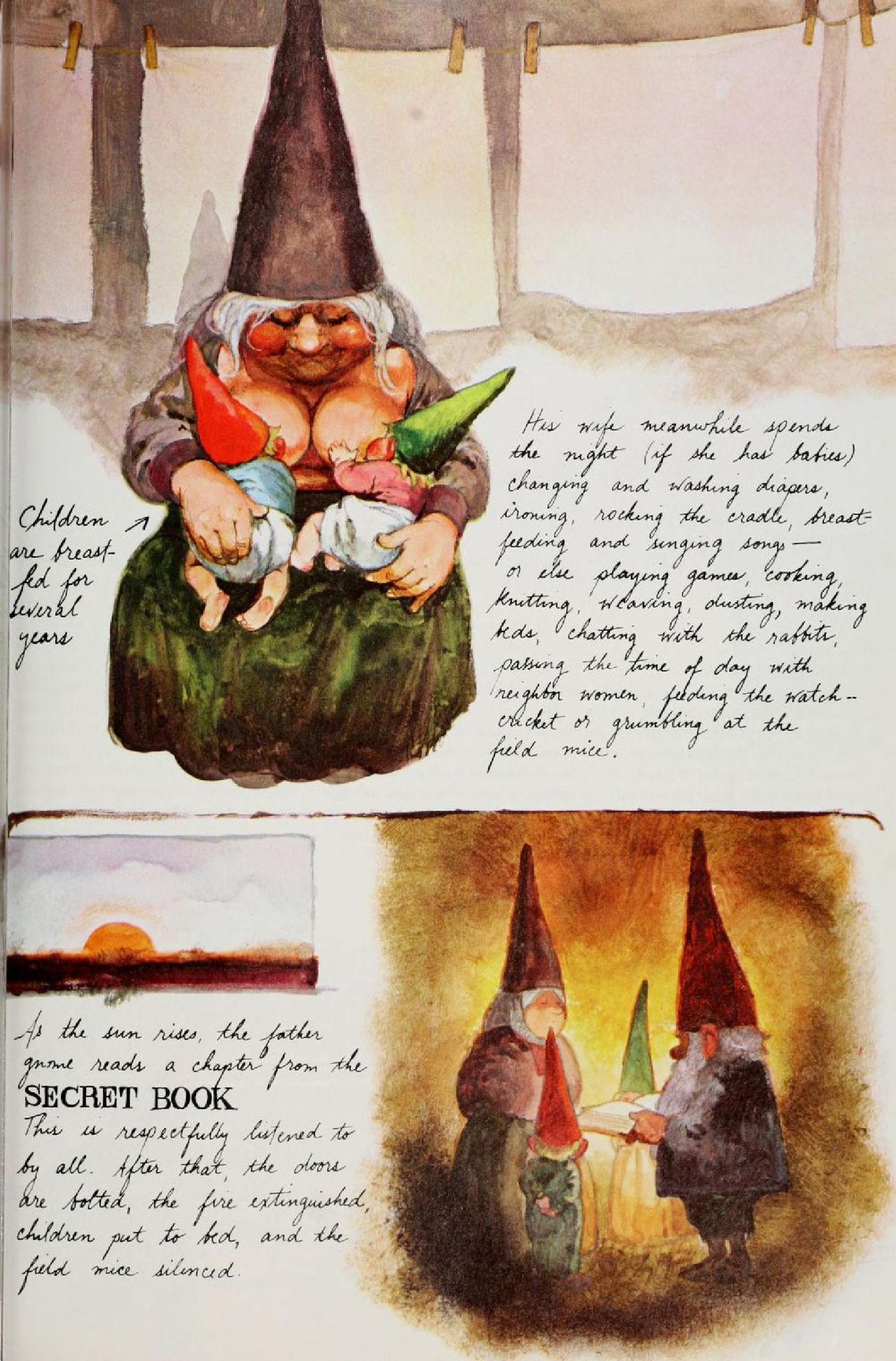 Gnomes by Wil Huygen, Rien Poortvliet 95