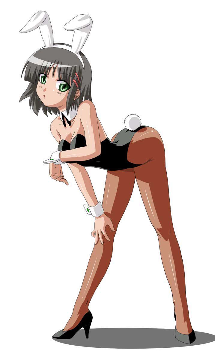 Let's be happy to see the erotic image of Hayate! 16