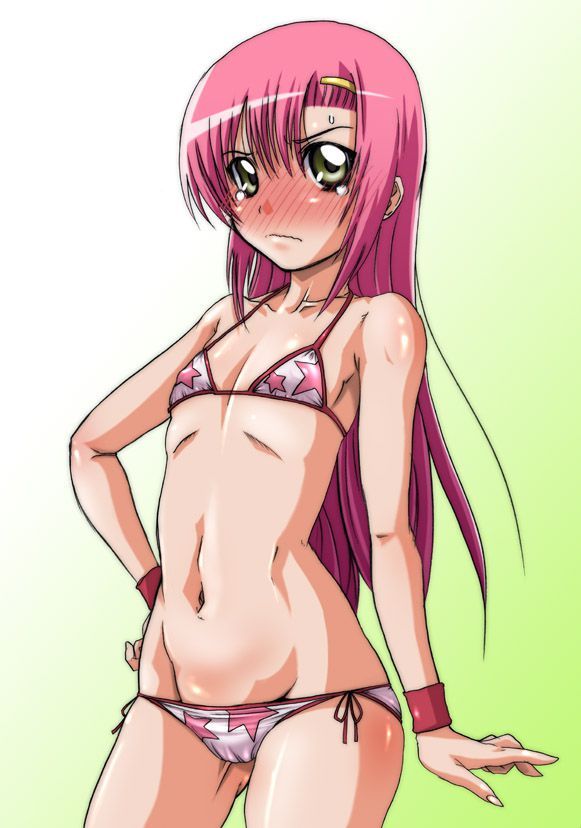 Let's be happy to see the erotic image of Hayate! 9