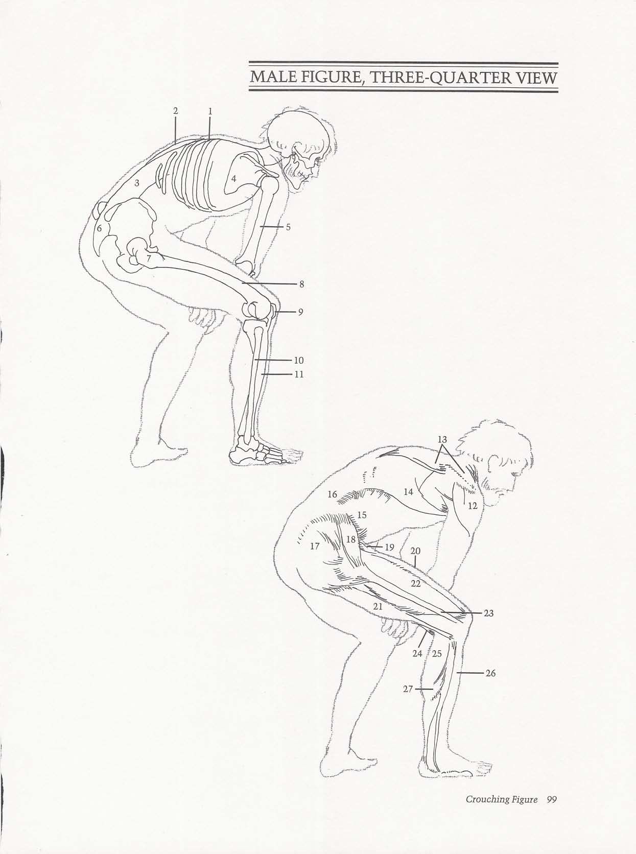 Drawing the Living Figure - Joseph Sheppard J.夏帕德动态人体解剖 - J.夏帕德[英文版] 102