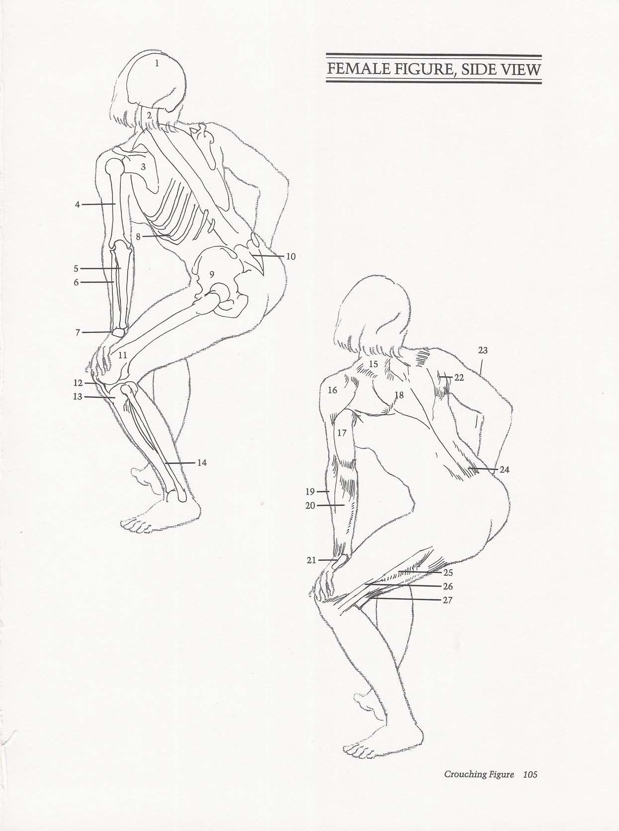 Drawing the Living Figure - Joseph Sheppard J.夏帕德动态人体解剖 - J.夏帕德[英文版] 108