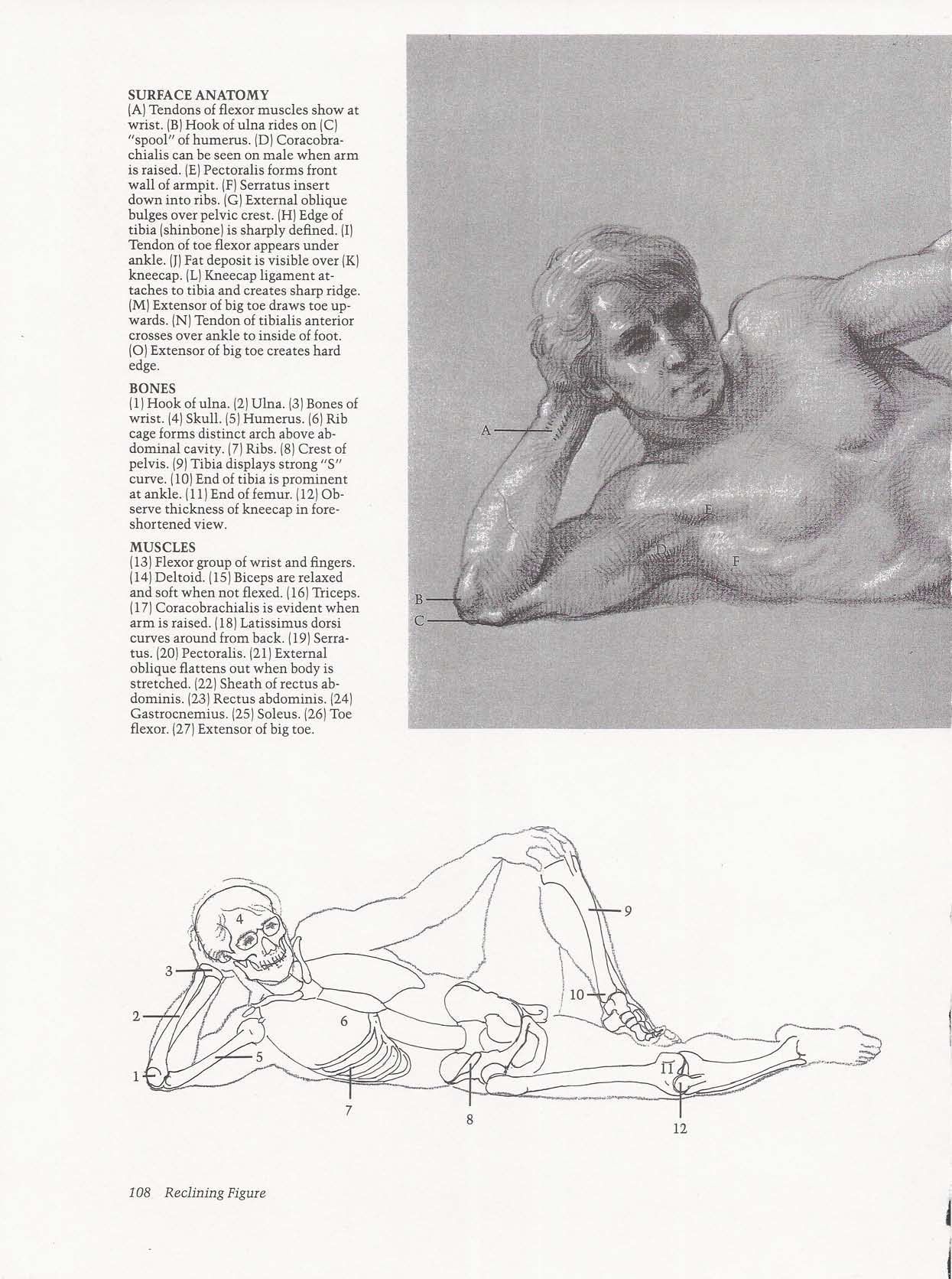 Drawing the Living Figure - Joseph Sheppard J.夏帕德动态人体解剖 - J.夏帕德[英文版] 111