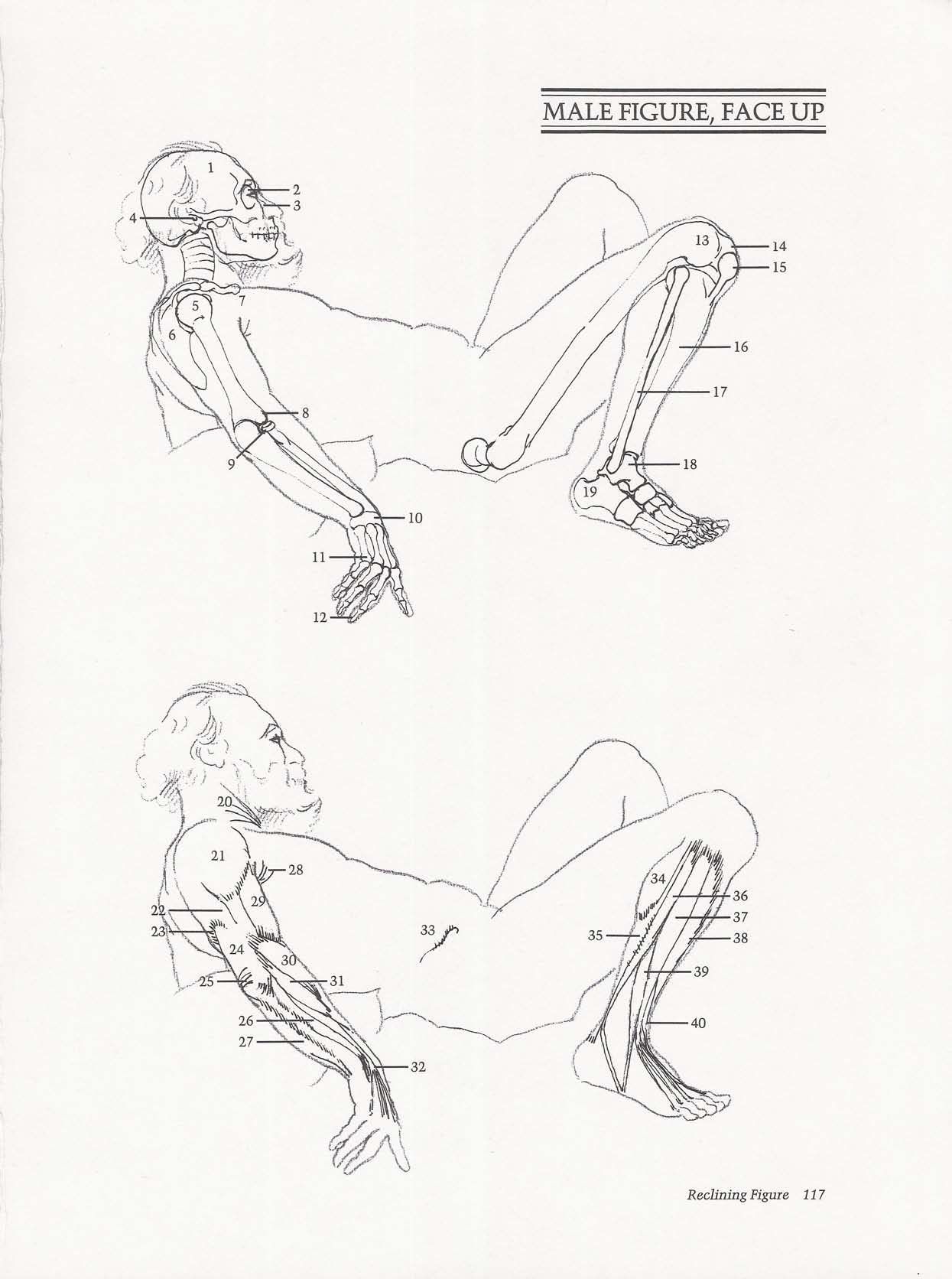 Drawing the Living Figure - Joseph Sheppard J.夏帕德动态人体解剖 - J.夏帕德[英文版] 120