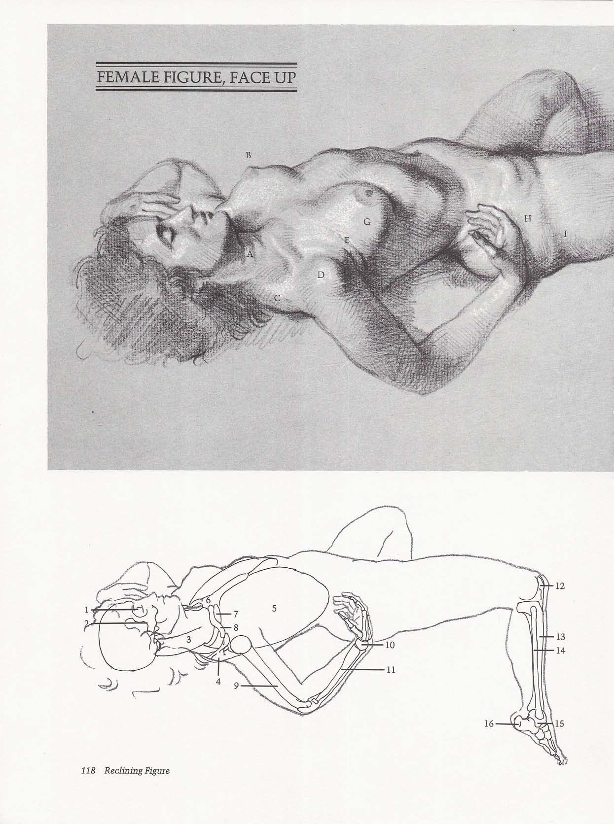 Drawing the Living Figure - Joseph Sheppard J.夏帕德动态人体解剖 - J.夏帕德[英文版] 121