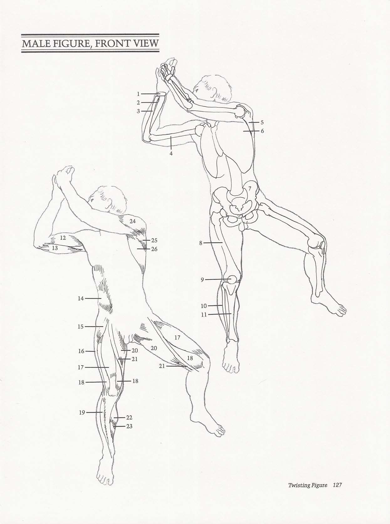 Drawing the Living Figure - Joseph Sheppard J.夏帕德动态人体解剖 - J.夏帕德[英文版] 130