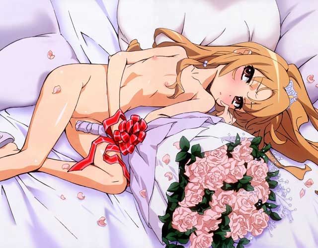 Anime: "Tora Dora" The best of Aisaka Taiga's echino-e-erotic image summary 9