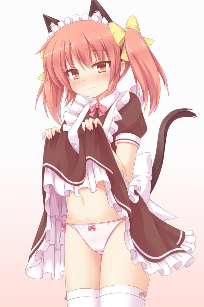 I tried to collect erotic images of maids! 12