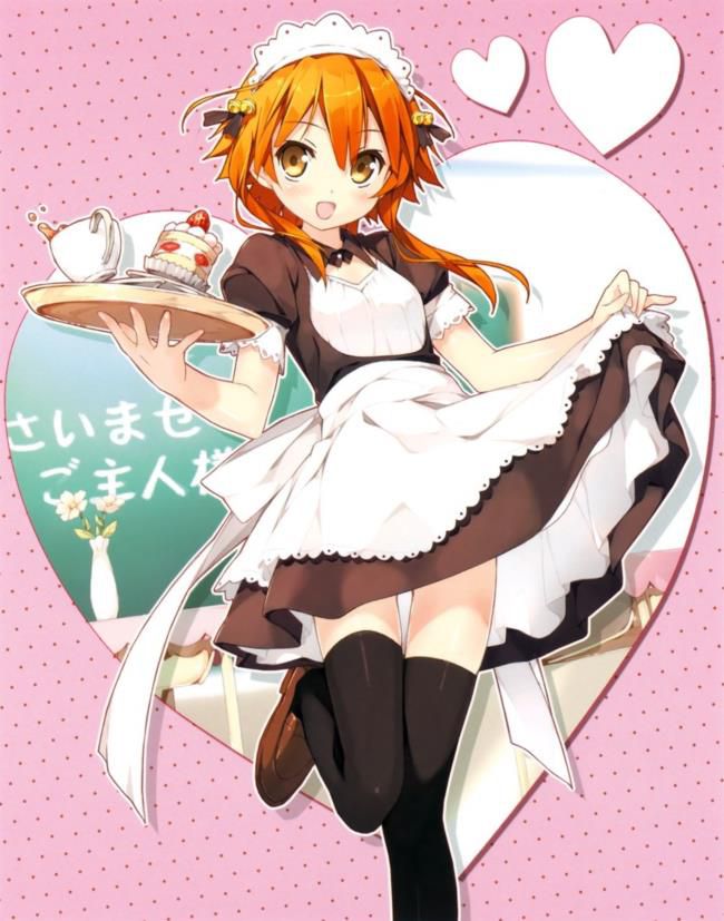 I tried to collect erotic images of maids! 14