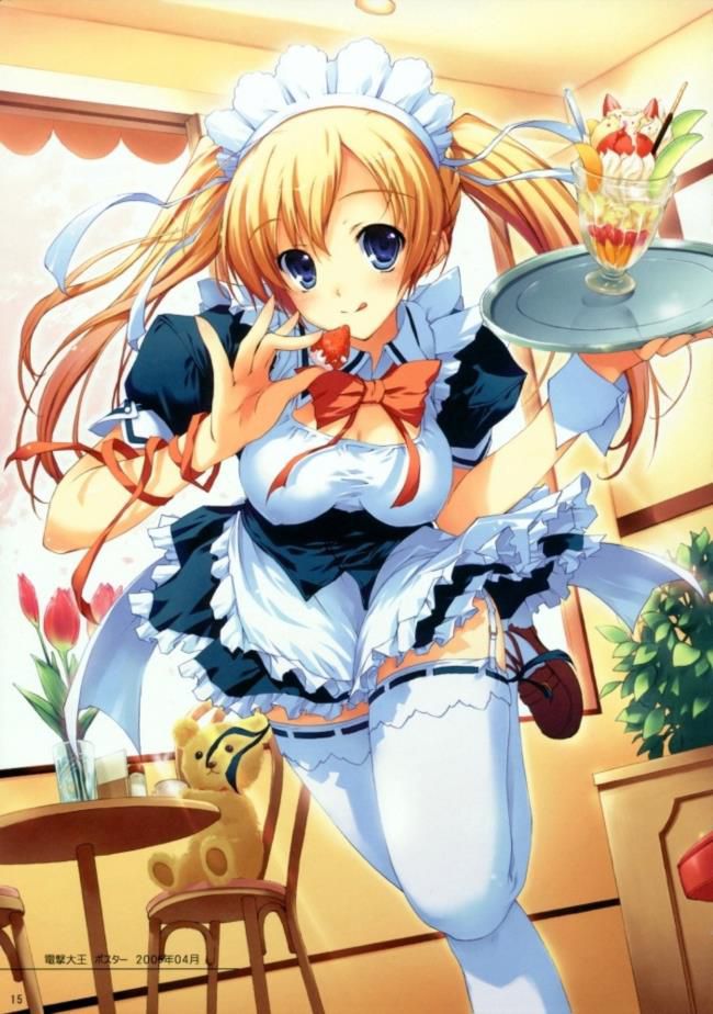 I tried to collect erotic images of maids! 15