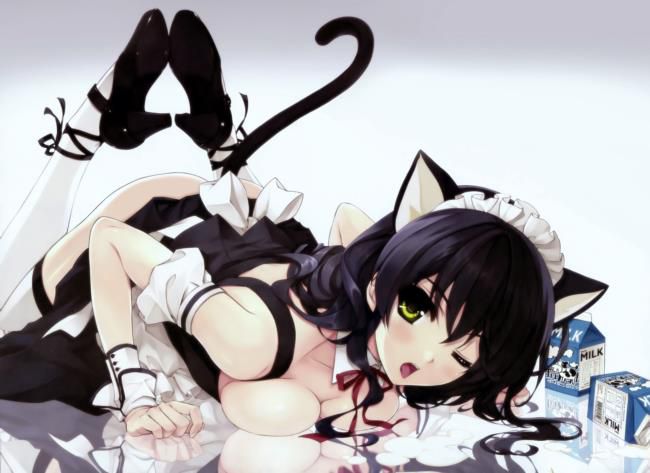 I tried to collect erotic images of maids! 7