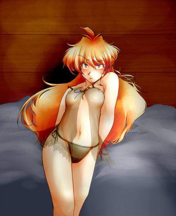 Let's be happy to see the erotic image of Slayers! 4