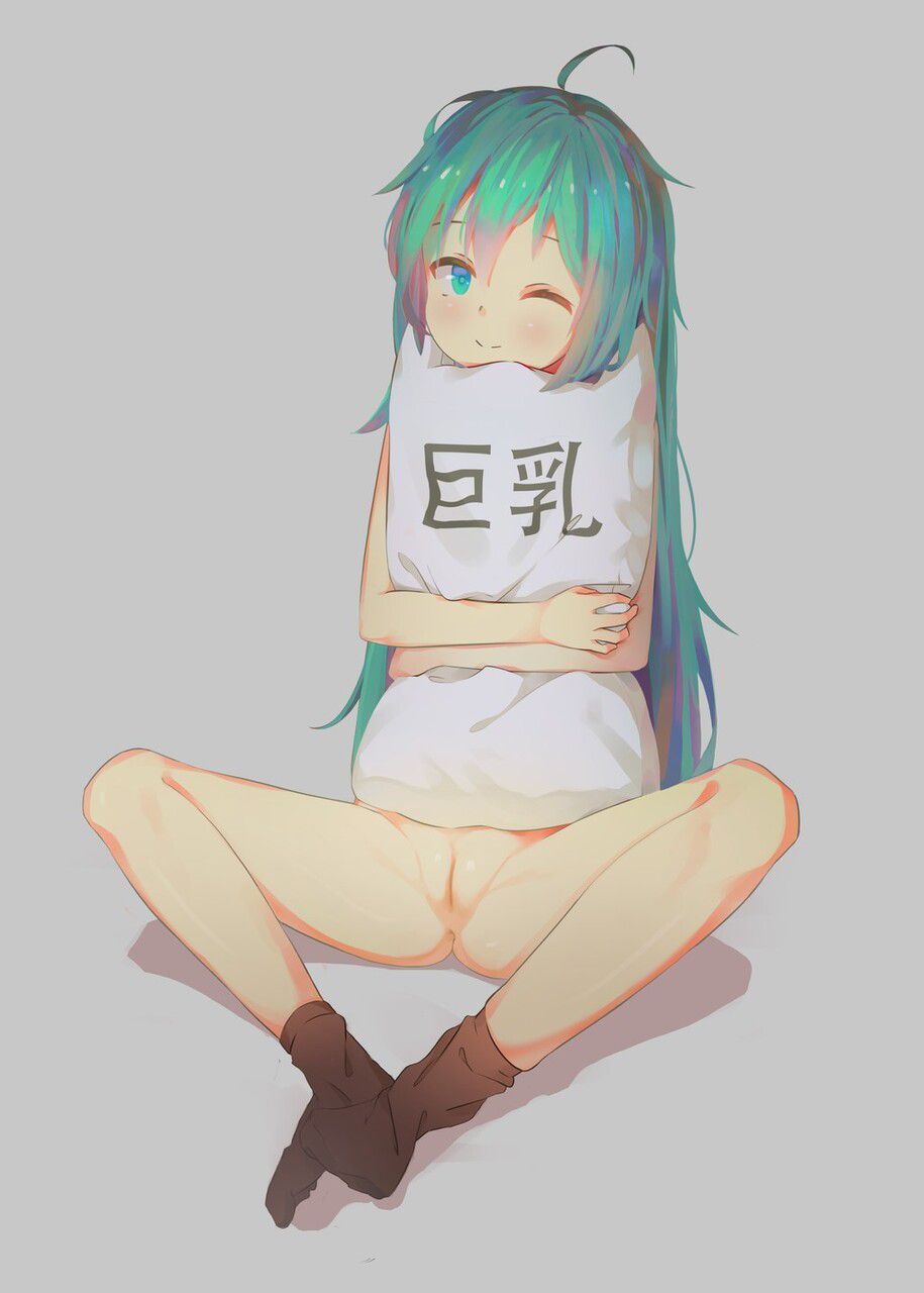 I'm going to put erotic cute image of Vocaloid! 13