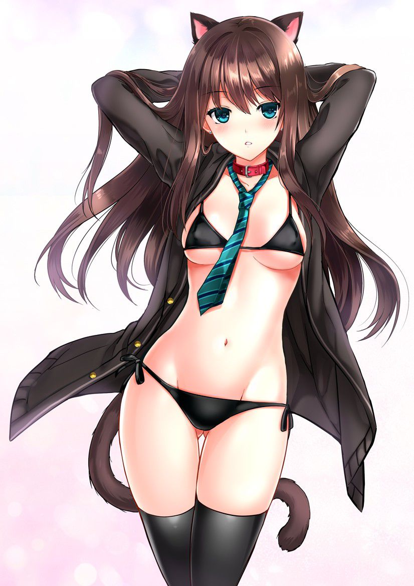 Two-dimensional cute girl's swimsuit is all-you-can-see www 8