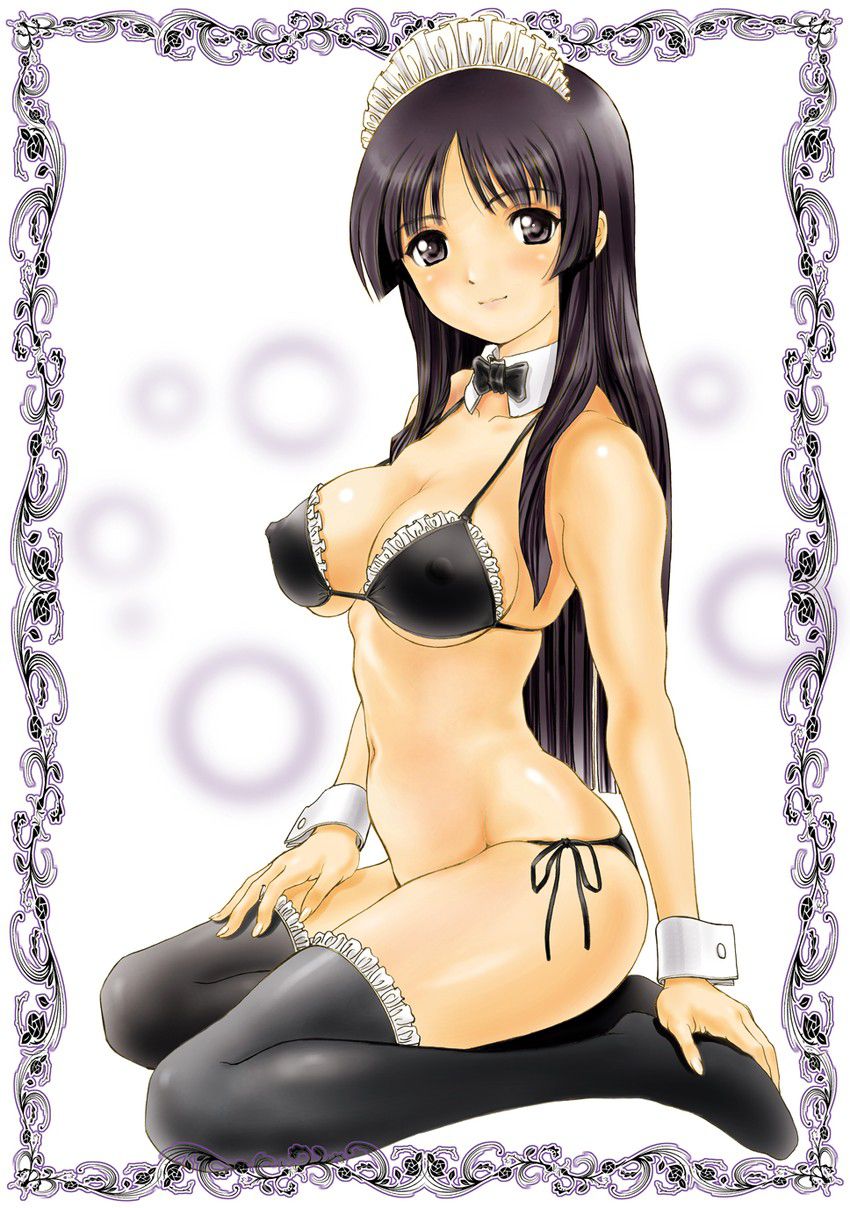 [Maid] erotica image summary of two-dimensional maid beautiful girl. vol.27 52