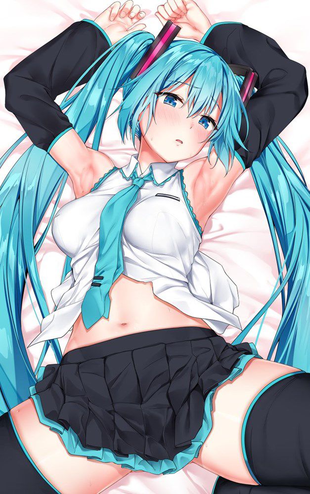 Those who want to nu in the erotic image of Vocaloid gather! 6
