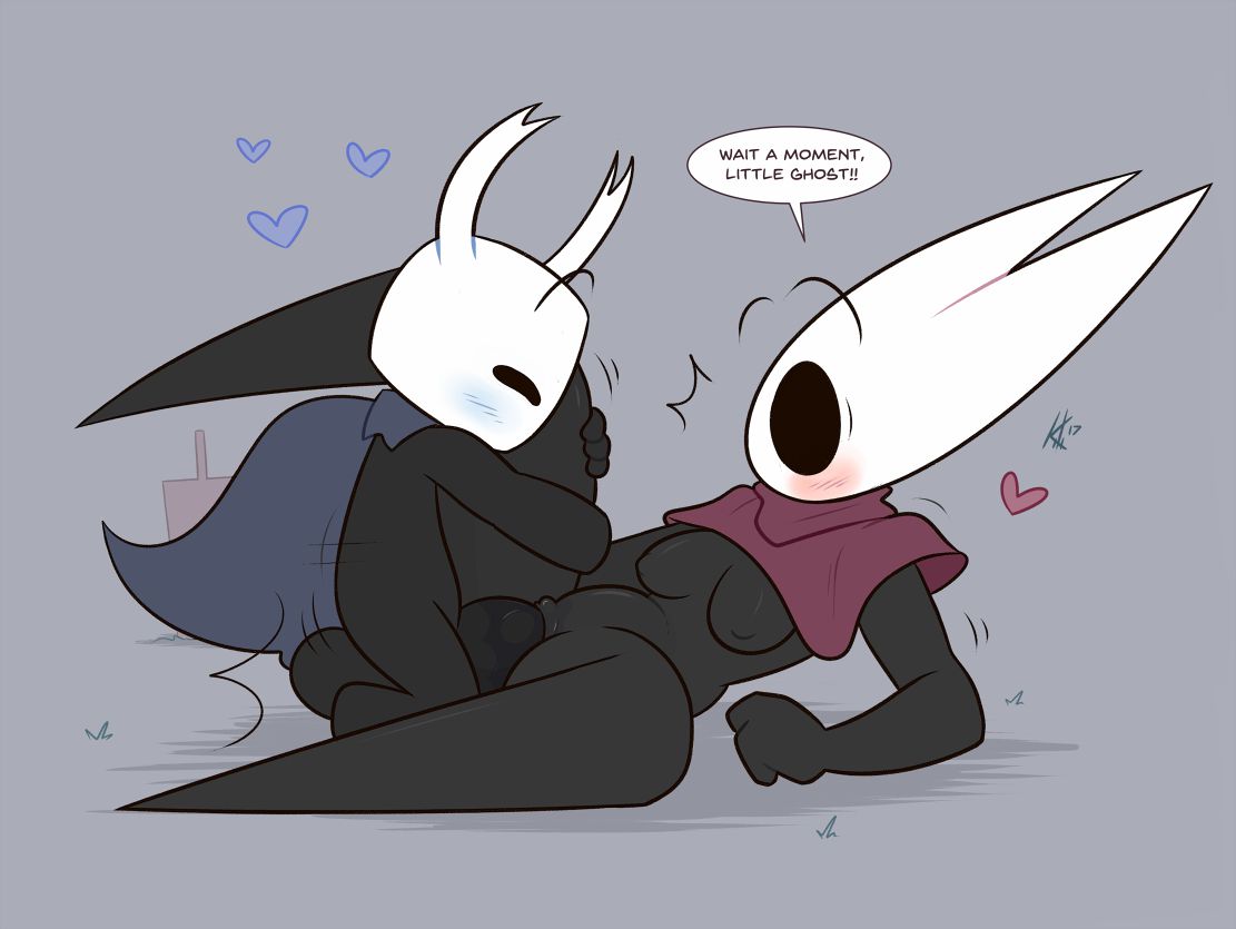 Hollow knight collection 115