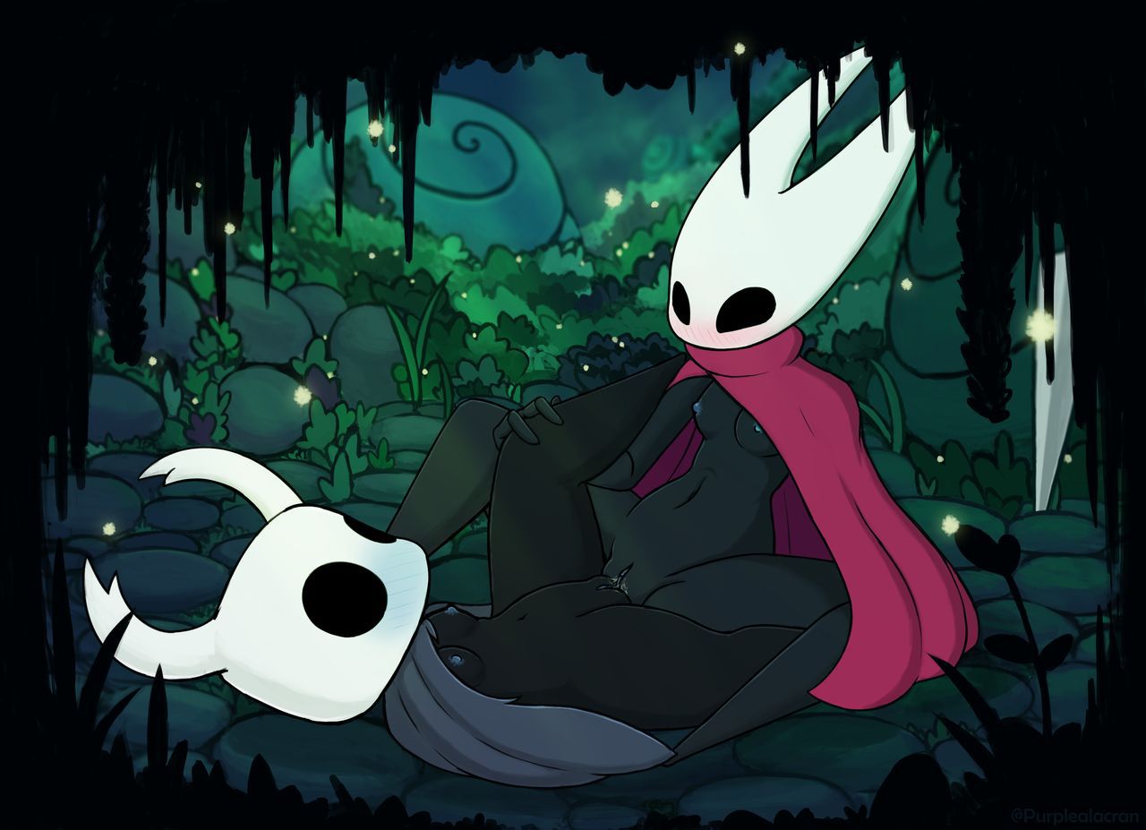 Hollow knight collection 216